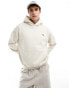 Abercrombie & Fitch icon embroid logo hoodie in beige