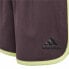 Sports Shorts Adidas Training Marathon Dark Red