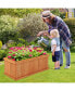 Raised Garden Bed Fir Wood Rectangle Planter Box with Drainage Holes