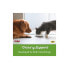 Фото #6 товара NOW Foods, Pets, поддержка мочеиспускания для собак / кошек, 90 жевательных таблеток