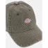 Фото #4 товара DICKIES Hardwick Duck Canvas Cap