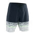 ION Slade 19´´ Swimming Shorts