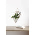 Фото #4 товара Аксессуары для цветов UMBRA Wandvase Trigg