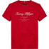 TOMMY HILFIGER Script short sleeve T-shirt