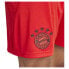 ADIDAS FC Bayern Munich 24/25 home shorts Красный, S - фото #6