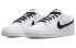 Nike Dunk Low Retro DJ6188-101 Sneakers