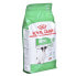 ფოტო #3 პროდუქტის ROYAL CANIN Mini Maize 8+ Adult 2kg Dog Food