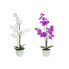 Фото #1 товара Декоративные цветы DKD Home Decor 44 x 27 x 77 cm Лиловый Белый Зеленый Орхидея (2 штук)