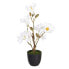 Декоративное растение полиэстер полиэтилен Железо 25 x 25 x 49 cm Magnolia