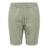 Фото #1 товара ONLY & SONS Linus 0007 chino shorts