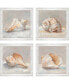 Фото #1 товара Shell Study Framed Art, Set of 4