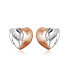 Romantic bicolor earrings with zircons E0001333