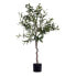 Decorative Plant Olive tree Plastic Iron cable (85 x 150 x 85 cm)
