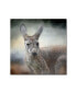 Фото #1 товара Jai Johnson 'Western Grey Kangaroo' Canvas Art - 35" x 35" x 2"