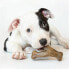 Фото #2 товара Прорезыватель для зубов для собак BENEBONE Черные Животные