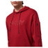 Фото #6 товара OAKLEY APPAREL B1B Pocket hoodie