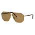Фото #1 товара CHOPARD SCHG61 Polarized Sunglasses