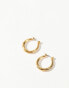 Фото #2 товара Accessorize Z Collection twisted hoop earrings in gold plated