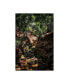 Фото #1 товара Pixie Pics Brush Forest Path Canvas Art - 37" x 49"