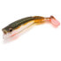 QUANTUM FISHING Wackelarsch Soft Lure 6g 90 mm