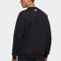Фото #4 товара Толстовка Adidas UB GFX SWT мужская черного цвета