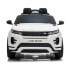 Car Ranger Rover Evoque 2 x 25 W 4,5 Ah 112 V