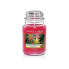 Фото #1 товара Aromatic candle large Tropical Jungle 623 g