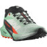 SALOMON Sense Ride 5 trail running shoes