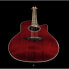 Ovation Celebrity Tradition CS-24-RR-G