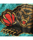 ფოტო #5 პროდუქტის Men's Turquoise Vancouver Grizzlies Hardwood Classics Lunar New Year Swingman Shorts