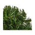 Фото #3 товара Рождественский венок Everlands 680454 Зеленый (Ø 35 cm)