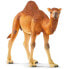 Фото #2 товара SCHLEICH Wild Life 14832 Dromedary