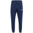 Фото #1 товара HUMMEL Julian Pants