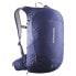 Фото #1 товара SALOMON Trailblazer 20L backpack