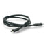 Фото #2 товара USB C - USB C 2.0 cable Lanberg black premium QC 4.0 PD 1m
