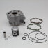 Фото #1 товара ITALKIT Derbi Senda 2000 49 cc Ci.12.501.G Cylinder Kit