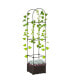 Фото #1 товара Flower Vine Plant Box Climbing Vine Bars w/ Drainage, Steel Frame