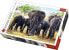Фото #1 товара Trefl Puzzle 1000 Afrykańskie słonie (226180)