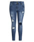 Plus Size Patched Apple Skinny Jean