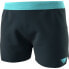 Фото #1 товара DYNAFIT Alpine Shorts