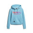 Фото #3 товара SUPERDRY Tonal Rainbow Core Logo hoodie