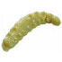 BERKLEY Powerbait Honey Worm 55 pcs Plastic Worms