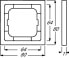 BUSCH JAEGER 1754-0-4301 - Aluminium - Busch-Jaeger - 80 mm - 80 mm - 1.1 cm