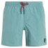 Фото #3 товара PROTEST Culture 14´´ Swimming Shorts