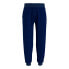 TOMMY HILFIGER UM0UM02880 joggers