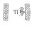 Glittering silver earrings with zircons AGUP2314L