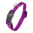 FERPLAST Evolution C Dog Collar Фиолетовый, 32x1.6 cm - фото #1