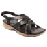 Фото #2 товара Softwalk Bonaire S1902-001 Womens Black Leather Slingback Sandals Shoes 6