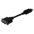 Фото #1 товара ASSMANN Digitus DisplayPort Adapter