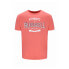 ფოტო #1 პროდუქტის RUSSELL ATHLETIC AMT A30081 short sleeve T-shirt